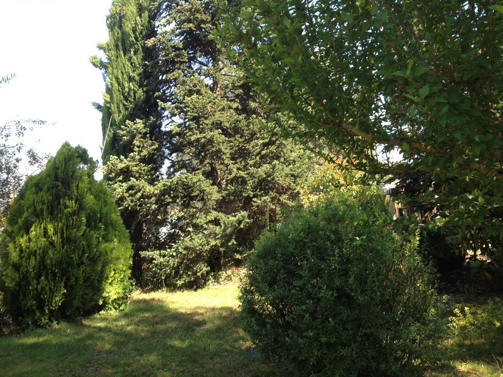 Il Belvedere Di Roccavo Vila Castiglion Fiorentino Exterior foto